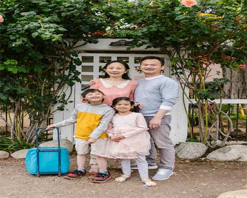 试管代生费用表-代怀网价格表,试管婴儿不孕几率大吗