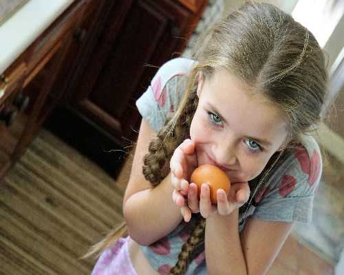 上海供卵试管成功率前十医院榜单，附2026供卵生男孩费用明细一览						,供卵代怀网