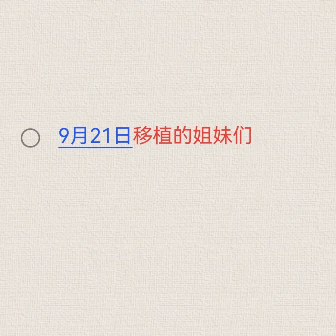 试管移植三天鲜胚姐妹们,代孕正规靠谱