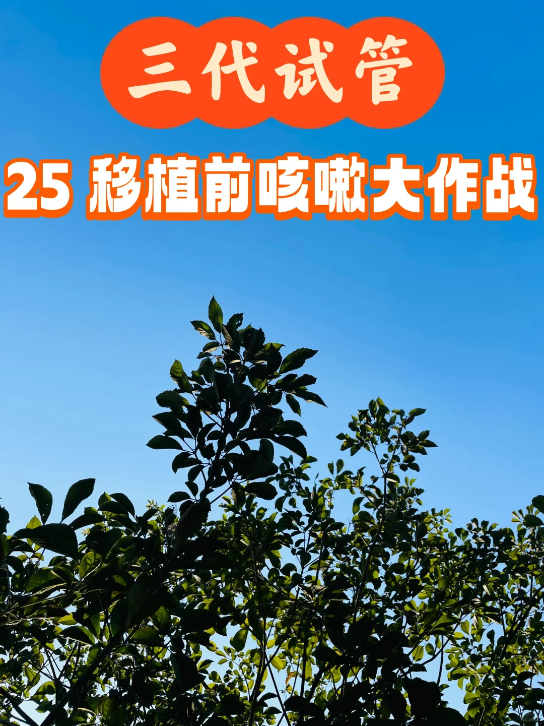 咳咳咳！三代试管-25 移植前咳嗽大作战,正规代孕费用，代孕怎么能找到