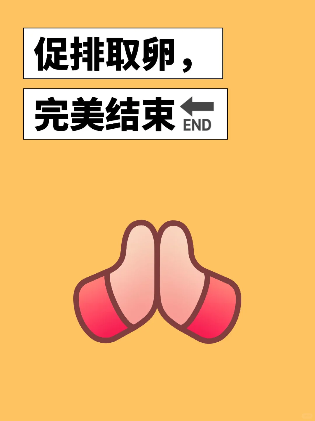 促排取卵全流程～基础卵泡4，取22。逆天了！,代孕哪家口碑好